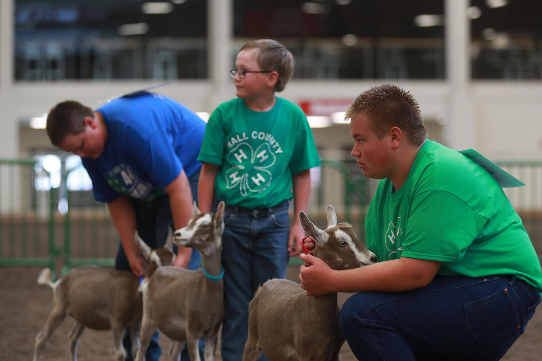 072320_HCFGoatShow023_bjs.JPG